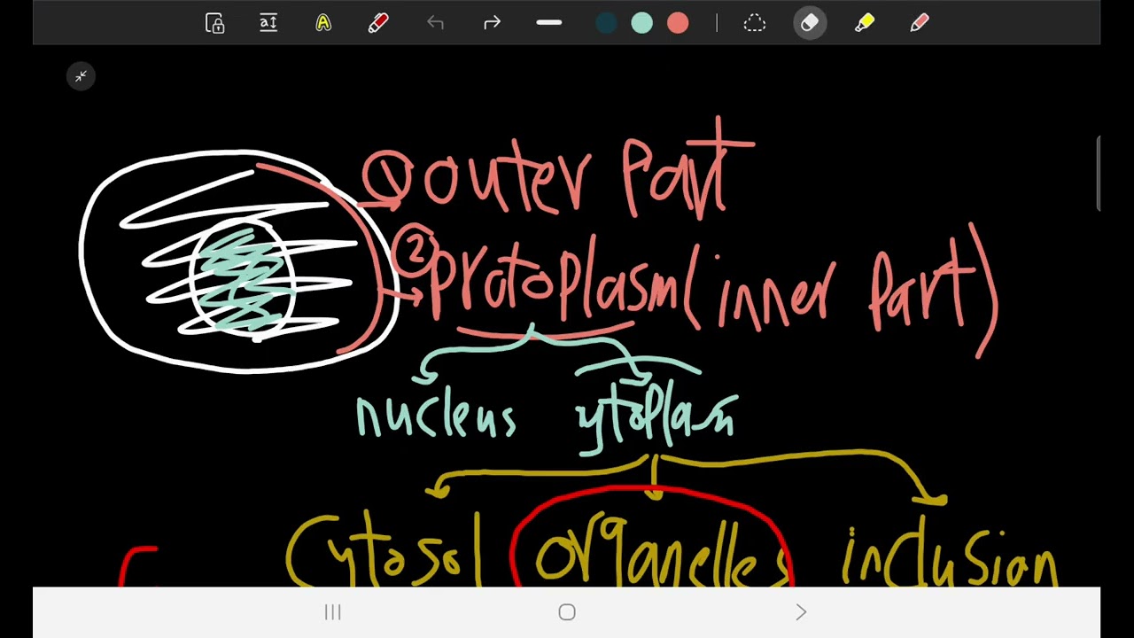 Cell biology 1 part 3 (SGU)