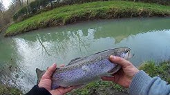 Ouverture, pêche de la truite au toc 2018 en Eure et Loir (28) PARTIE 2/6 HD