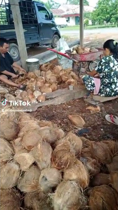 lagi marah kena bacok semua