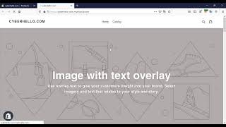 Shopify XSS (Known issue) - POC