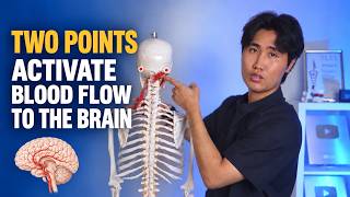 These Two Points Activate Blood Flow to the Brain. Blood Flow Increases by 320%.