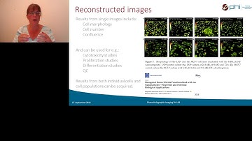 How Digital Holographic Microscopy Can Be Used to Explore Cell Movements