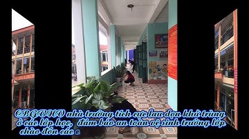 video tuyen truyen dich covid 19 trường TH Kim Đồng TP Lào Cai