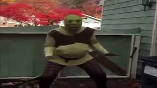 Shrek Dancing with Sonic 3 Music for 1 Hour (April Fools's Day Special)
