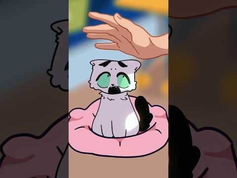Почему Котики Такие Няшные Animation Cat