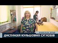 Дисплазія кульшових суглобів - комплекс вправ