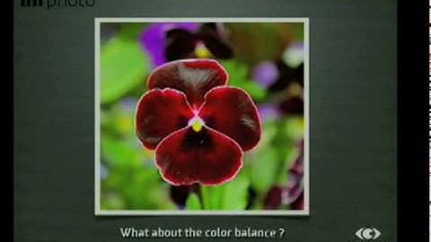 6Sight 2009 New Technology Showcase 4