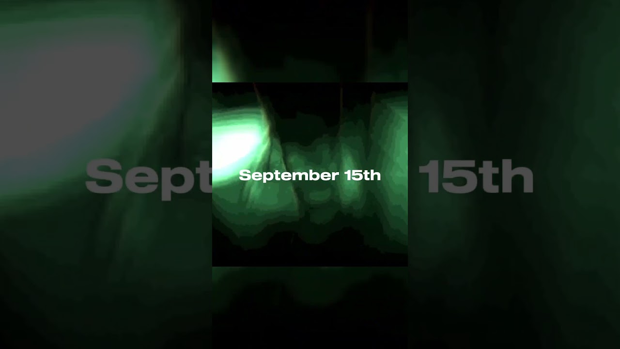 Bro is really cooking in a shed he built. 😂 