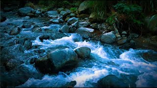 Relaxing River Sounds for Deep Sleep,Meditation,or Yoga and Mountain Stream