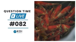 Koi Question Time LIVE #82