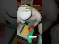 Madrasa student taleem-e-Islam parhne mein masroof(مدرسے کا طالب علم تعلیمِ اسلام میں مشغول)