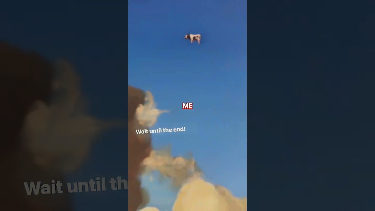 Why Every Painting Has a Flying Cow 🐄🎨