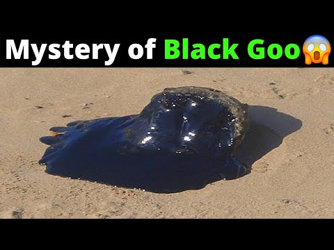 Video: The Goo Black Mysterious of Venezuela: La Mancha Negra