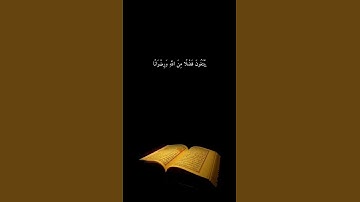 محمد رسول الله والذين معه اشداء على الكفار/ القارئ ياسر الدوسري #قرآن