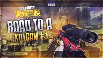 RG: COD Online - Road to a Killcam - Episode 1! #RedRC Content Submission Powered by @Soylent