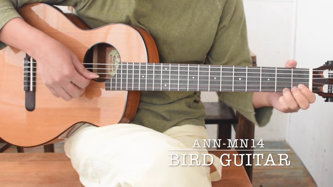 Bird Guitar aNN-MN14 - YouTube