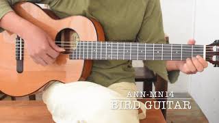 Bird Guitar aNN-MN14 - YouTube