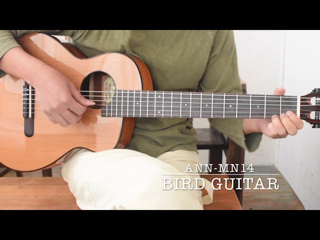 Bird Guitar aNN-MN14 - YouTube