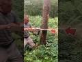 Thee cutting trick used abroad #shortvideo