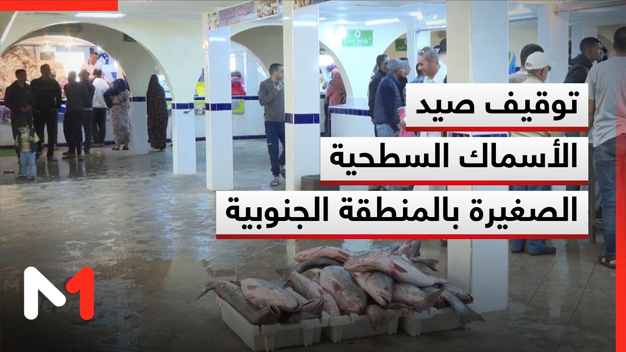توقيف صيد الأسماك السطحية الصغيرة بالمنطقة الجنوبية وانتعاش ملحوظ بأسواق السمك في العيون