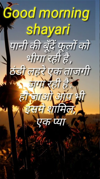 Good morning shayari SMS video 🌷 morning wishes love shayari 💕 good morning status video 💕 morning