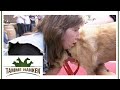 Schmerzhafte Behandlung: Blindenhund Maja wird ordentlich ran genommen | Tamme Hanken | Kabel Eins