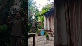 my favourite teer Dhanush #Avatar-A4P #blast the balloon in the my garden 🏡.......