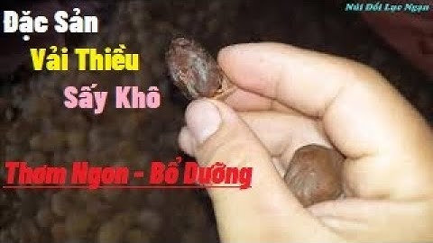 Đặc Sản Vải Thiều Sấy Khô I Núi Đồi Lục Ngạn
