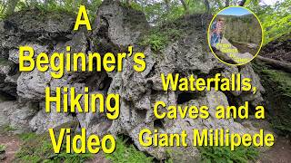 Easy Hike at Owen D Young Nature Trail in Vanhornsville, NY.  Caves, waterfalls & a giant millipede!