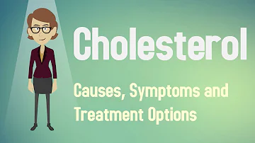 Jaká je optimální hodnota cholesterolu v krvi?