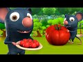 Chuha aur tamatar 3d animated hindi moral stories for kids    rat panchatantra tales