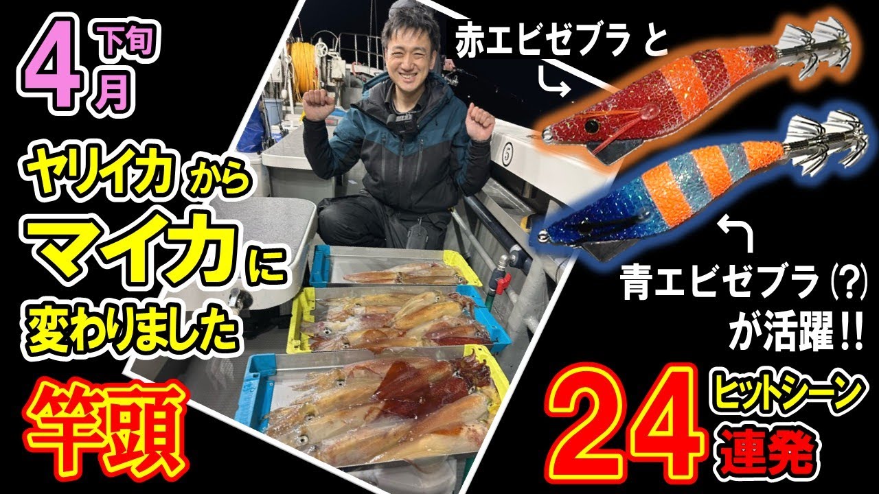 【イカメタル】マイカ開戦‼オレンジゼブラのエギ達が活躍‼【竿頭】2025/4