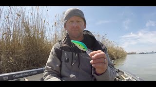 Deep Crankin' River Walleyes