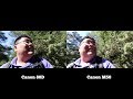 Canon M50 vs Canon 80D Video Test