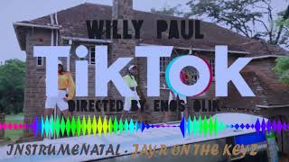 WILLYPAUL- TIKTOK AFRO INSTRUMENTAL BEAT BY JAY-R ON THE KEYZ