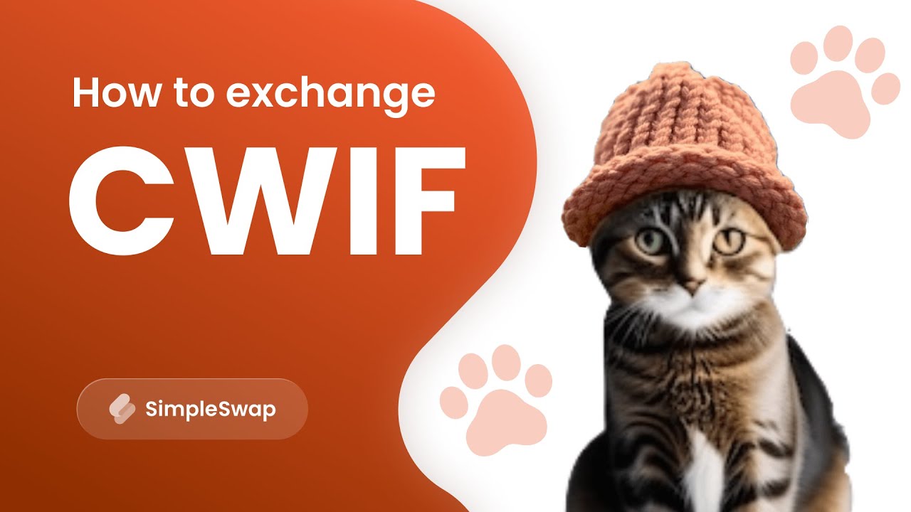 Catwifhat | How to exchange CWIF cryptocurrency? - YouTube