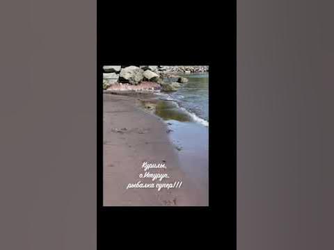 Курилы РЫБАЛКА! Горбуша серебрянка. - YouTube