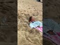 funny cat and dog short 2022 #funny #pet #dogs #cats #cat #animal #essay #wee #viral