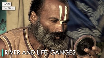 River and Life: Ganges