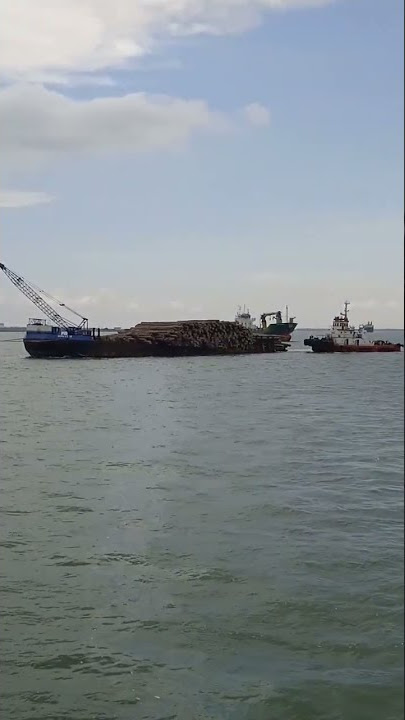 Tug boat tarik tongkang muatan kayu log #tugboat #tongkang