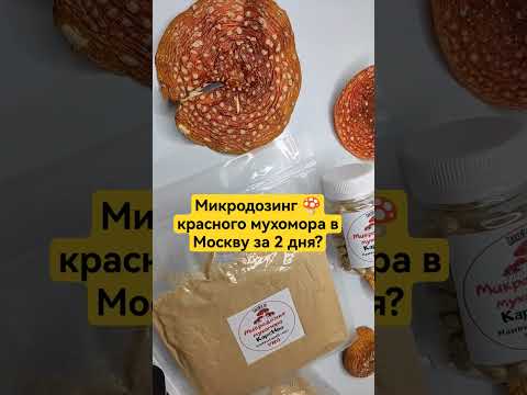 Микродозинг 🍄 красного мухомора в Москву за 2 дня? #микродозинг #микродозингмухомора