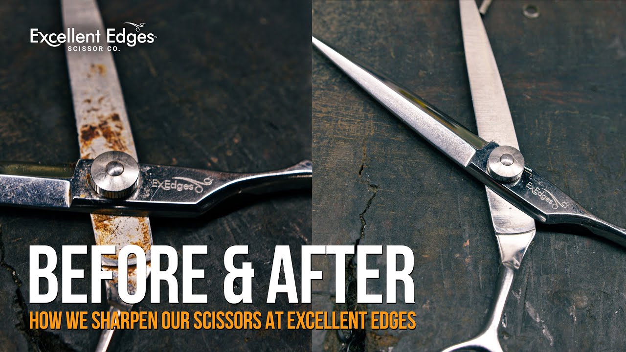 10 Ways to Sharpen Hair Scissors & Keep Them Sharp: Professional