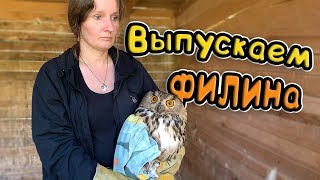 ВЫПУСКАЕМ ФИЛИНА НА ВОЛЮ ВЫПУСКАЕМ ФИЛИНА НА ВОЛЮ