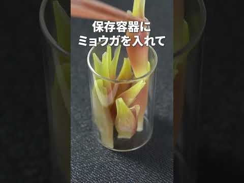 ピンク色がキレイなすっきり副菜◎ミョウガのピクルス【今日のあと一品】【副菜レシピ】 #shorts