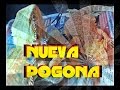 Nuevo Dragon barbudo (Nueva Pogona Vitticeps)