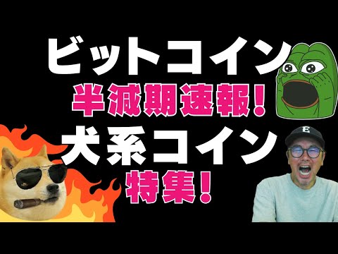 🐕DOGE,SHIBU,FLOKI特集🐕😱半減期まで後4日今日のビットコイン😱