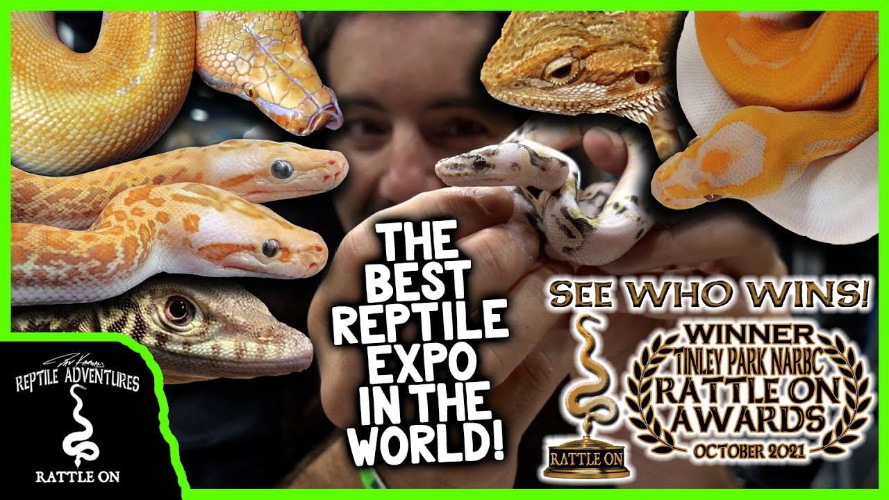 NARBC TINELY PARK OCTOBER 2021! (the best reptile expo in the world