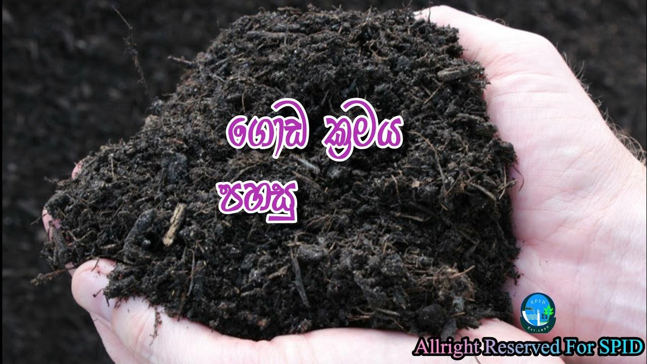 How to Produce High Quality Compost Make Compost at Home Sinhala ගුණාත්මක තත්වයේ