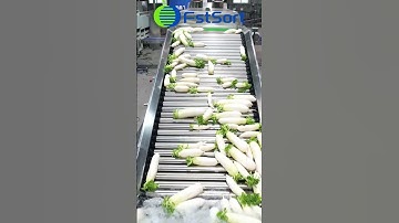 Stainless steel radish cleaning drying sorting machine vegetable processing line carrot size sorter