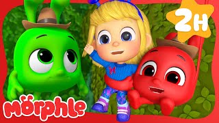 Jungle Adventure Rescue🌴👑| Adventure Cartoons for Kids | Mila and Morphle